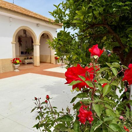 La Casa Del Flamenco Villa Canada del Rabadan Ngoại thất bức ảnh