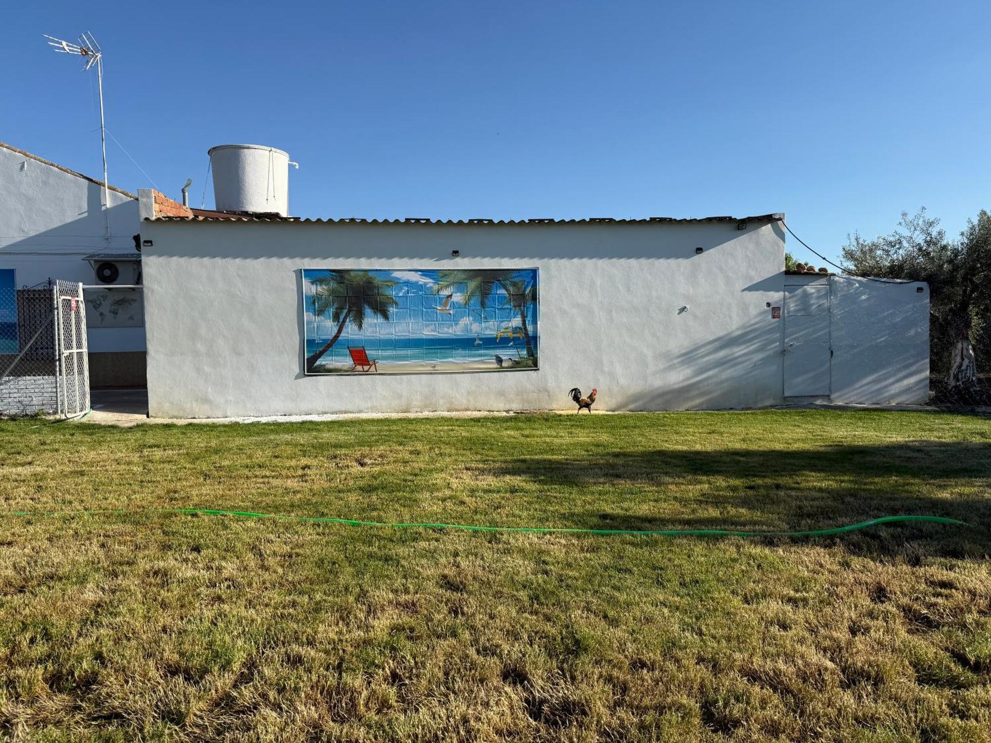 La Casa Del Flamenco Villa Canada del Rabadan Ngoại thất bức ảnh