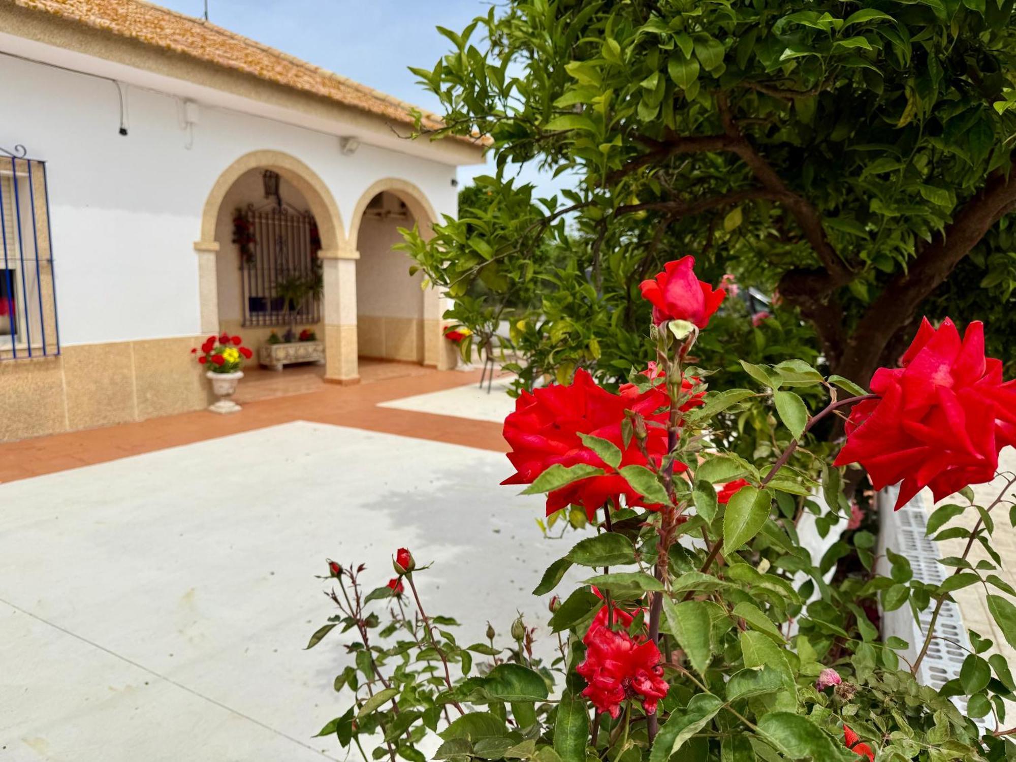 La Casa Del Flamenco Villa Canada del Rabadan Ngoại thất bức ảnh